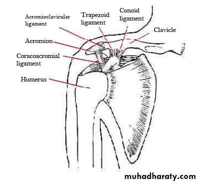 Injuries of upper limbs