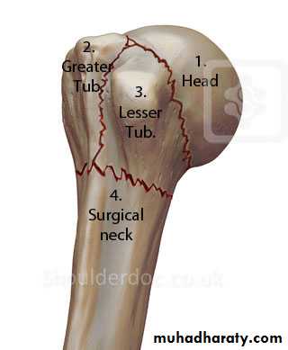 Injuries of upper limbs