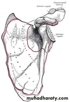 Injuries of upper limbs