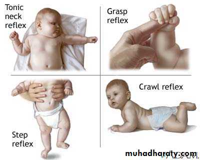 growth and development