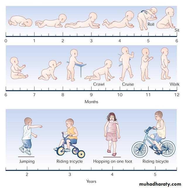growth and development 2