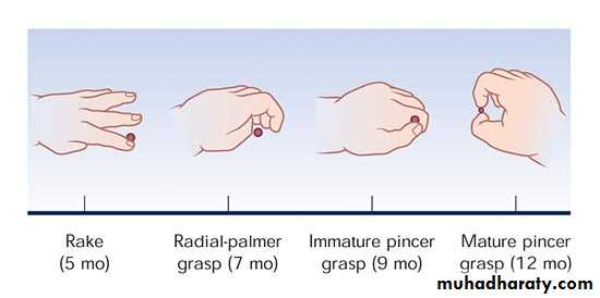 growth and development 2