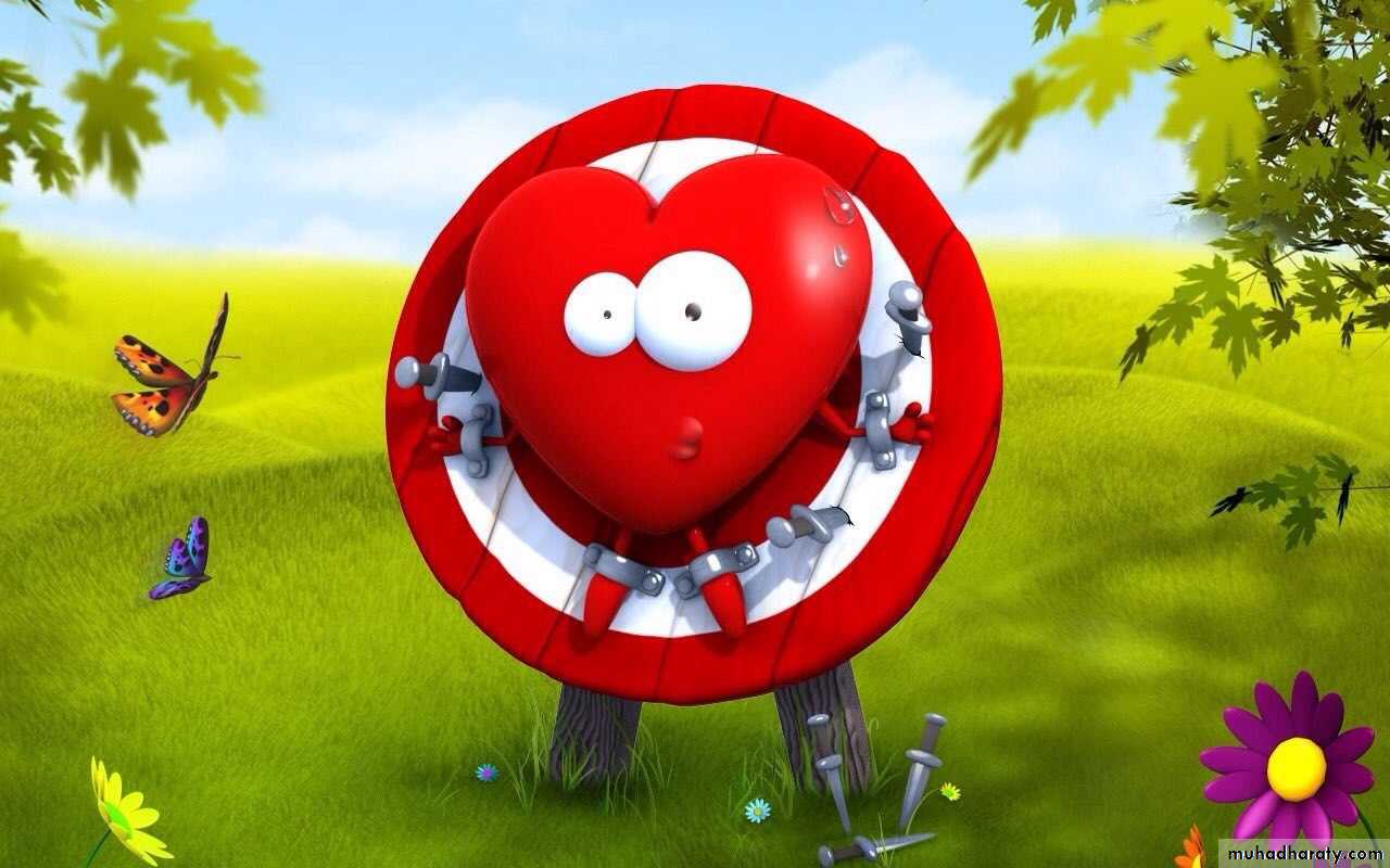 INVESTIGATION OF CARDIOVASCULAR SYSTEM