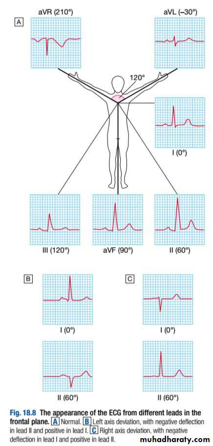 INVESTIGATION OF CARDIOVASCULAR SYSTEM