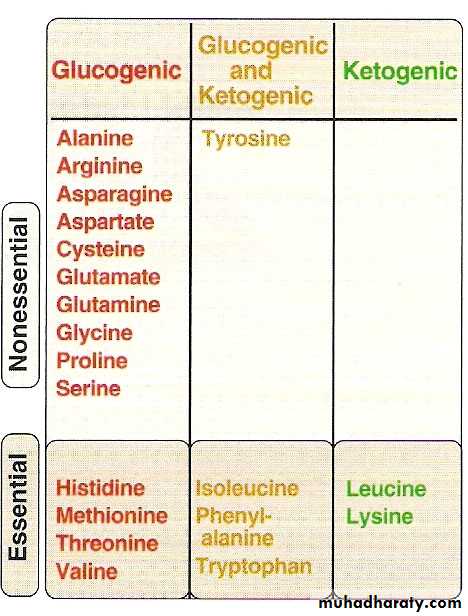 Amino acids