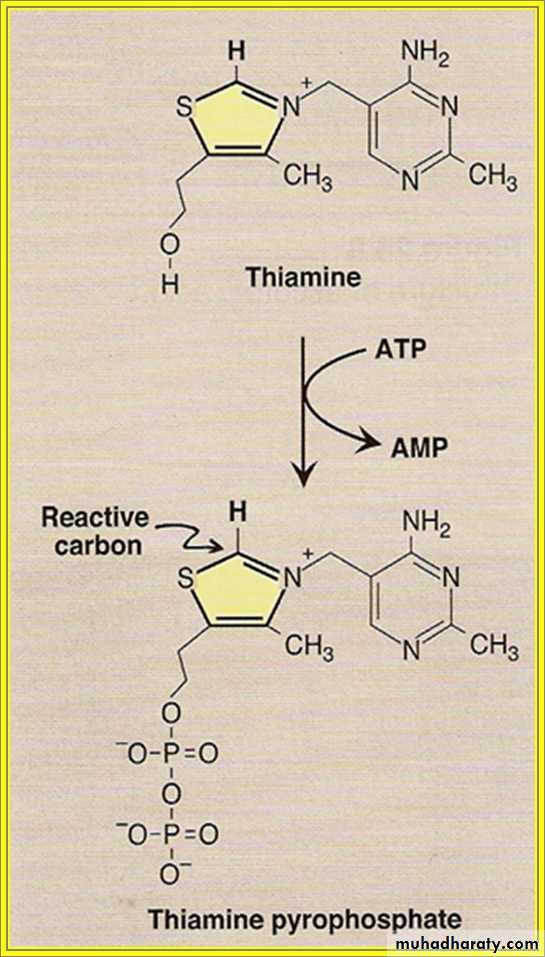 Vitamins