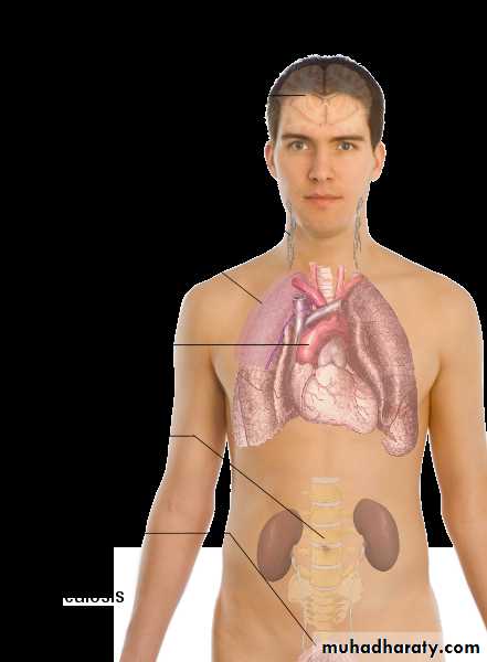 Crystals associated diseases 3
