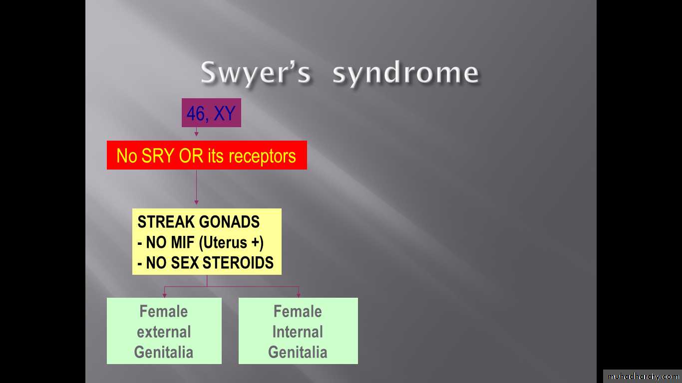 Intersex