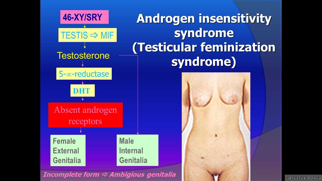 Intersex