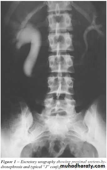 urinary tract imaging(films)