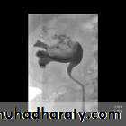 urinary tract imaging(films)