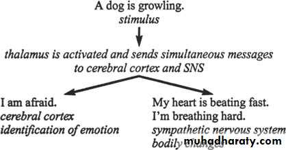 Emotions