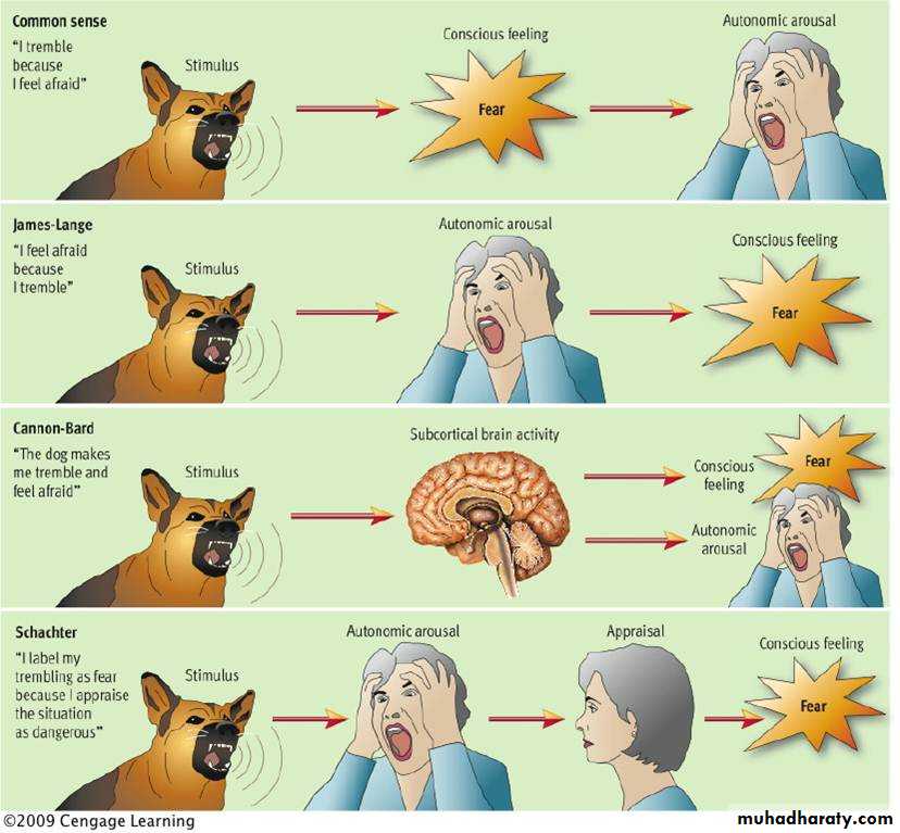 Emotions