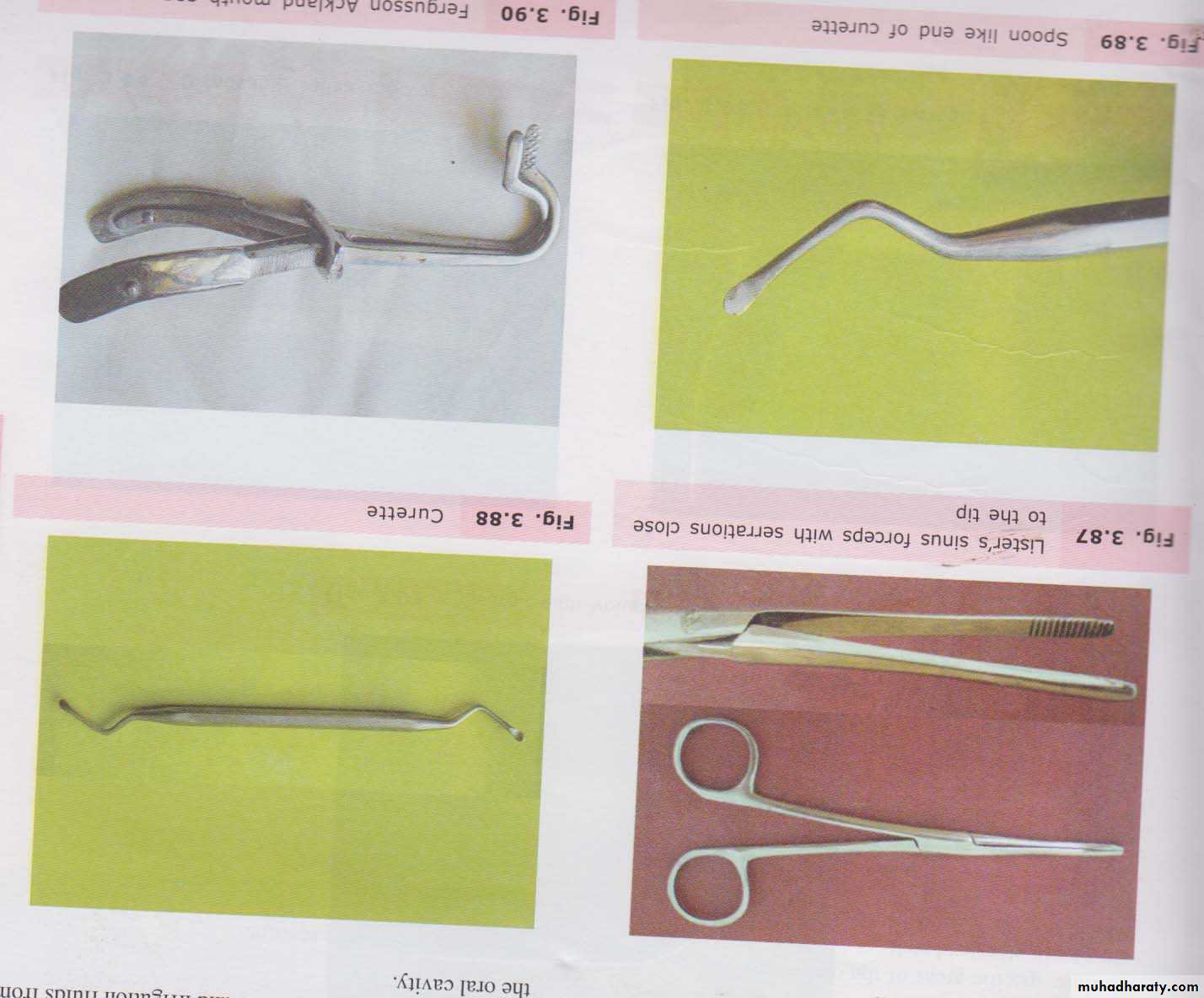 Surgery basics