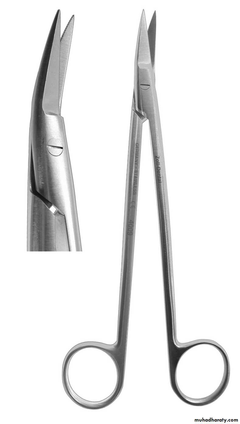 Surgery basics