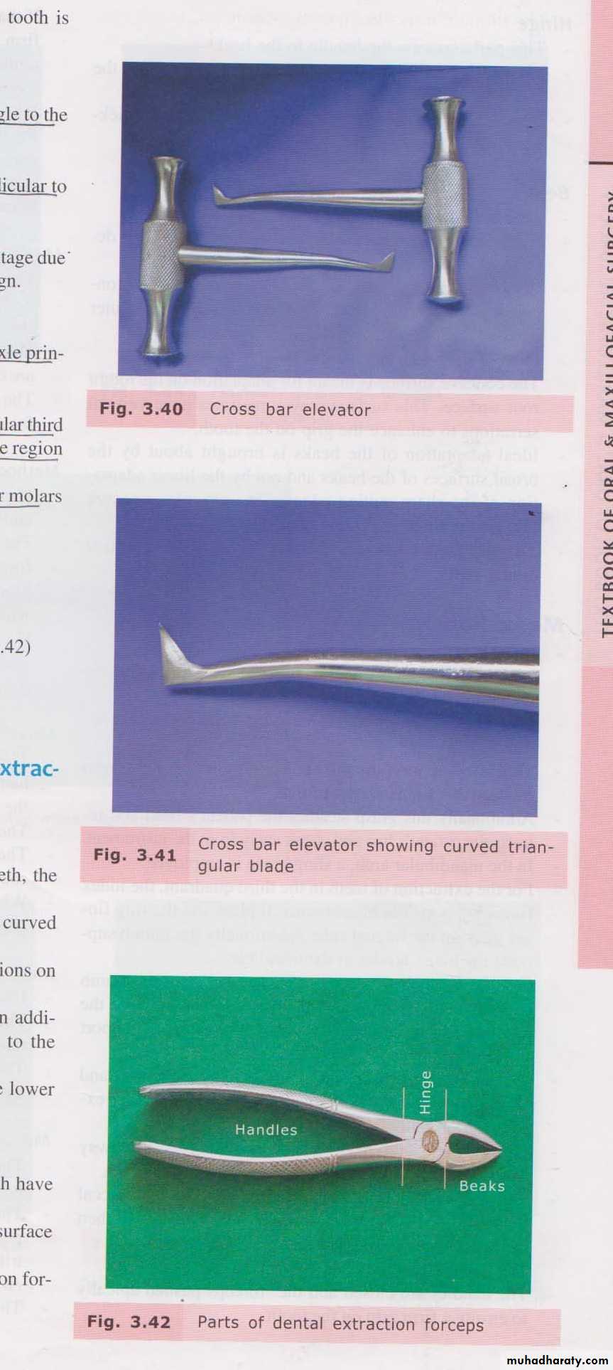 Surgery basics