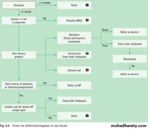 Mouth ulcer
