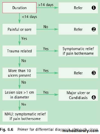 Mouth ulcer