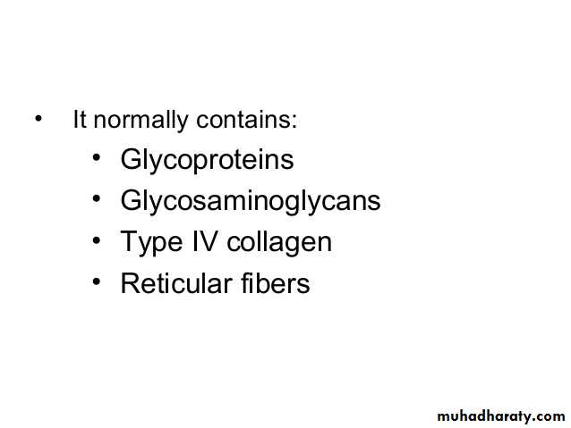Characteristic features of epithelial cells