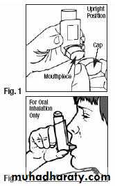 communiction skills