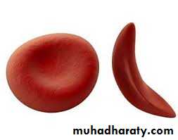 Hematology