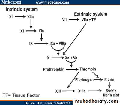 Hematology