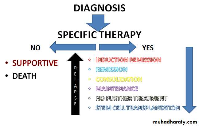 ACUTE LEUKEMIA