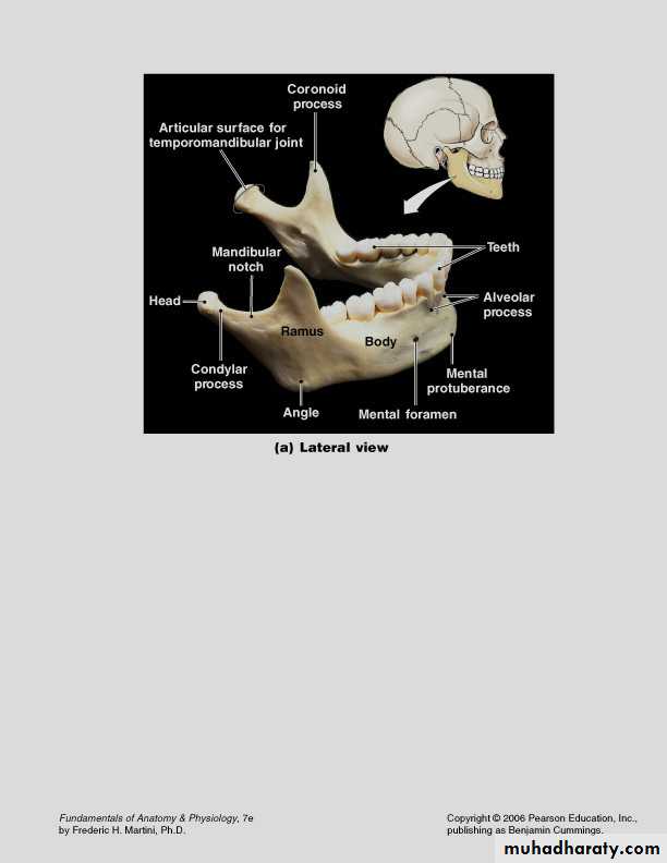 Facial fractures