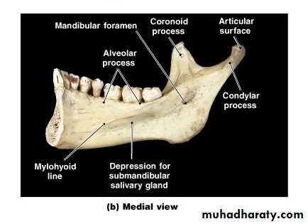 Facial fractures