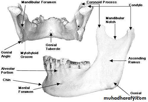 Facial fractures