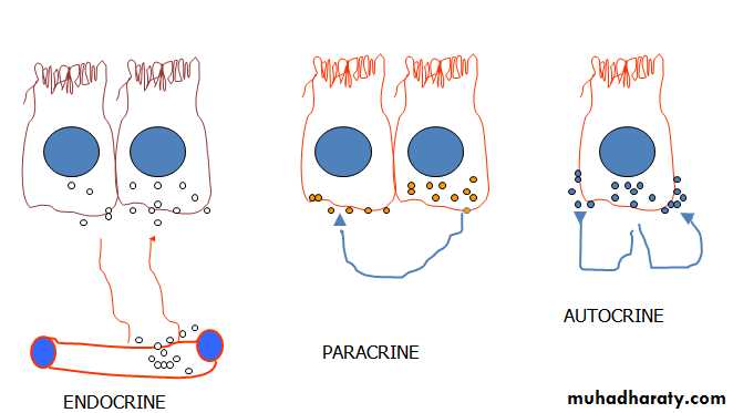 IMMUNOPATHOLOGY