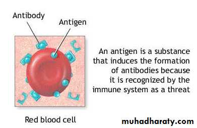 IMMUNOPATHOLOGY