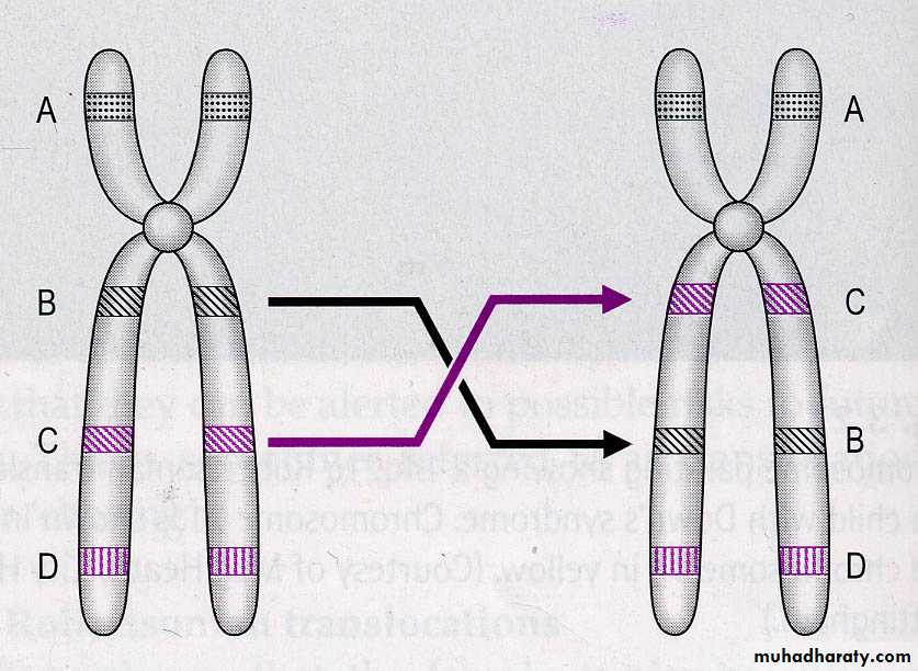 genetics
