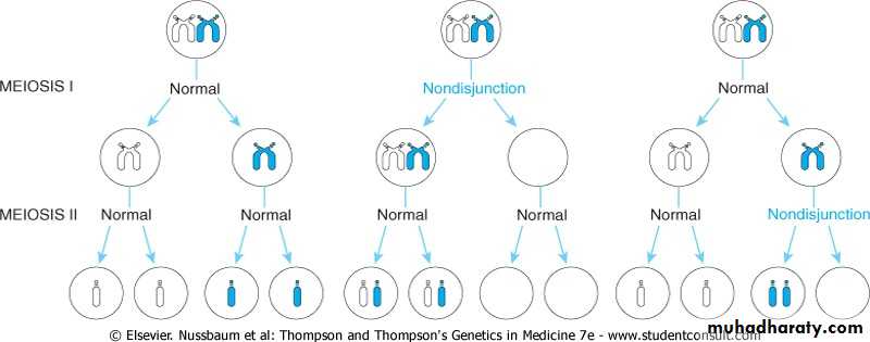 genetics