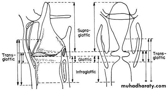 larynx