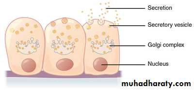 granular epithelial tissue
