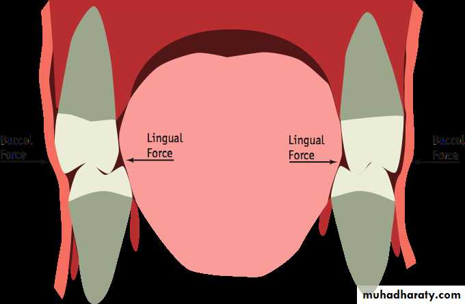 Selection of teeth