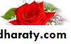 early pregnancy bleeding
