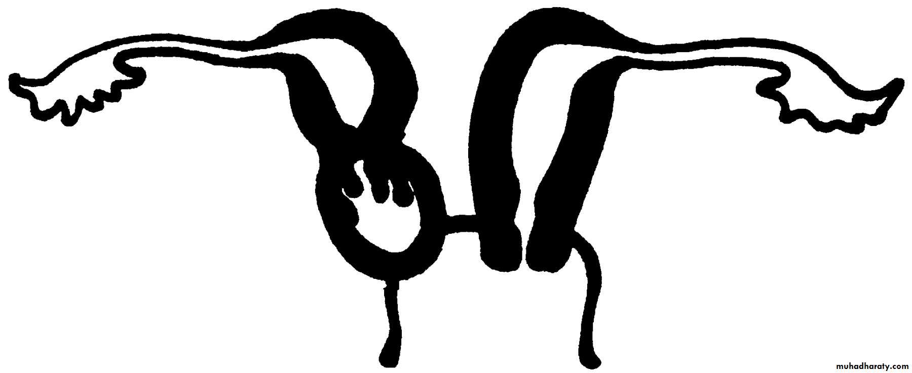 early pregnancy bleeding