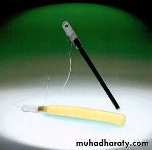 early pregnancy bleeding