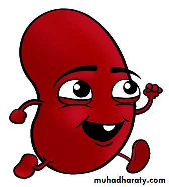 Hemolytic Uremic Syndrome