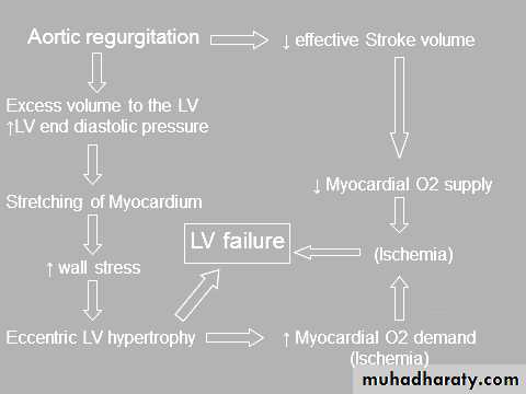Cardiovascular system CVS