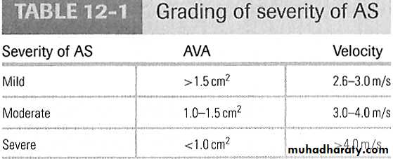 Cardiovascular system CVS