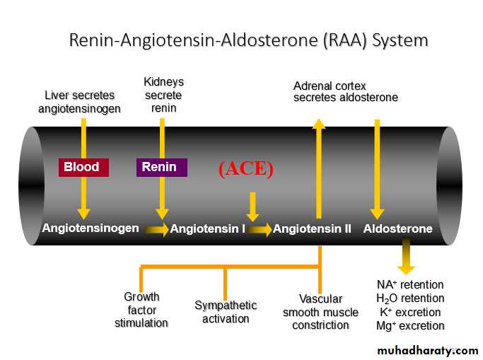 Antihypertensive