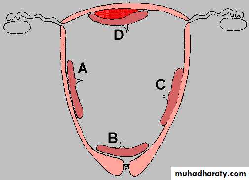 Practical pictures