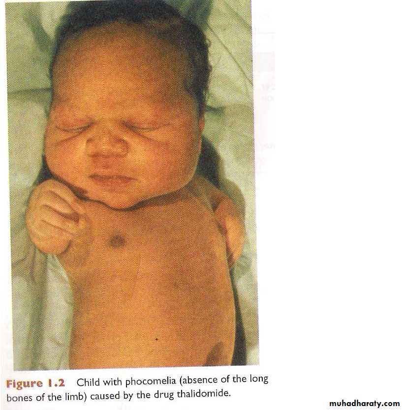 General embryology