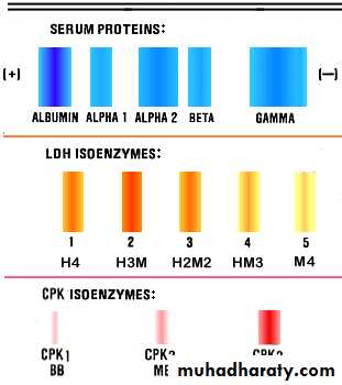 Enzymes