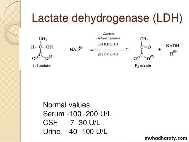 Enzymes