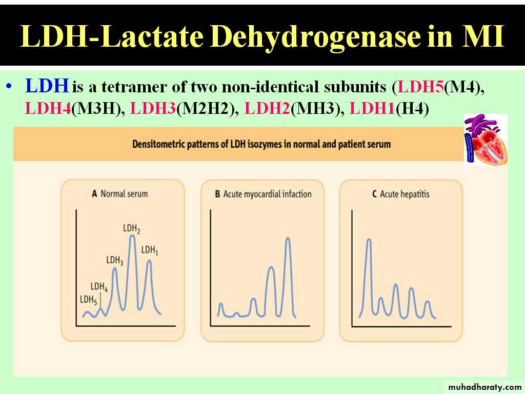 Enzymes