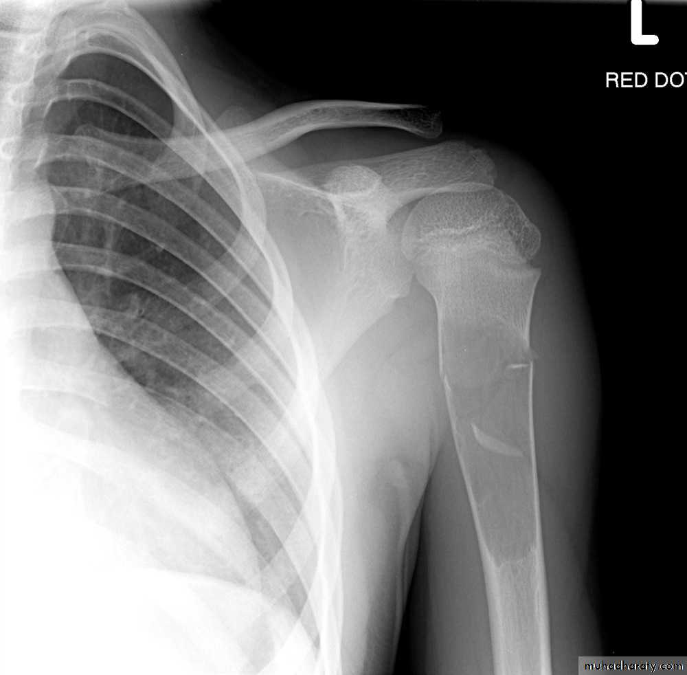 Practical muscloskeletal